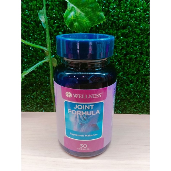 Wellness Joint Formula 30 Kapsul
