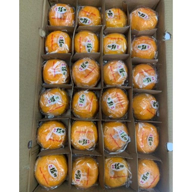 

jeruk ponkam taiwan