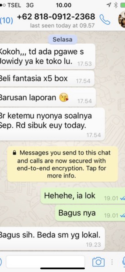 Pensil warna fantasia jumbo 12 warna sisa export kemasan dus-6