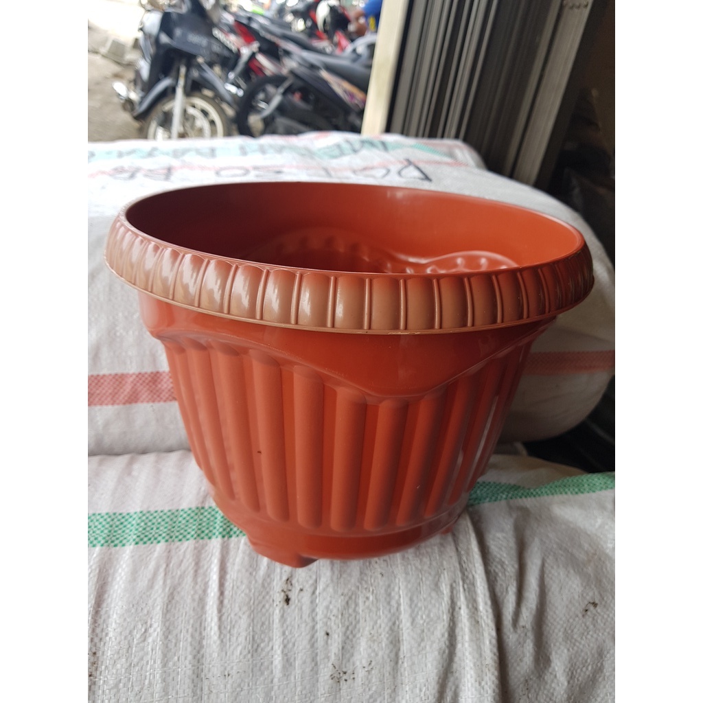 Pot Bunga Tanam Plastik Kuping Dahlia