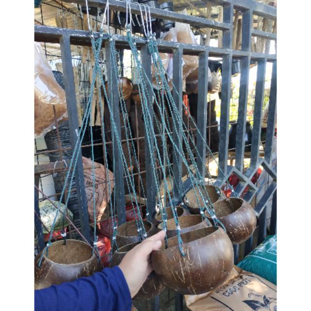 Pot Gantung Batok Kelapa asli original dari Bali