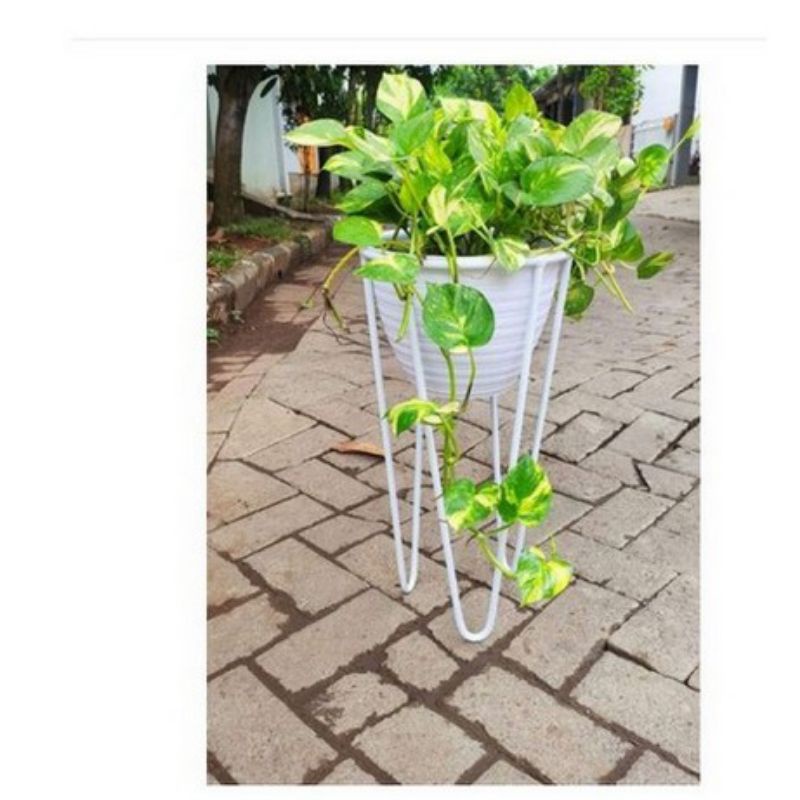 standing rak pot bunga T 15cmxD 10cm