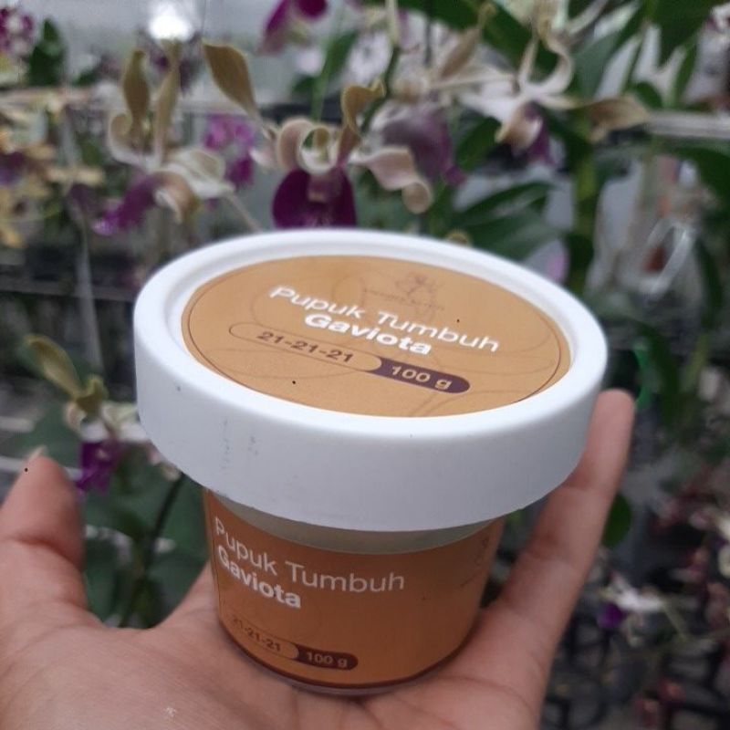 Pupuk Tumbuh Gaviota/Pupuk Anggrek
