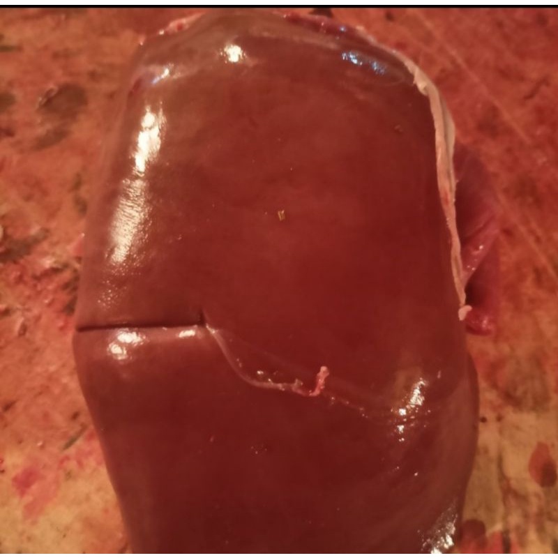 

hati kambing 500 gram