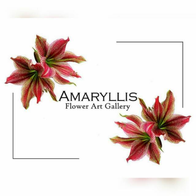 amaryllis_flowergallery