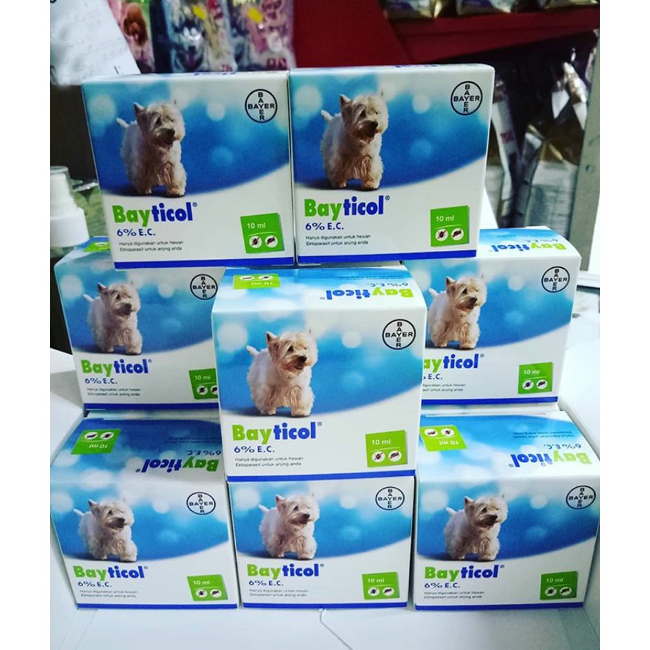 BAYTICOL OBAT KUTU ANJING 10 ML