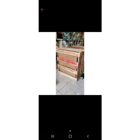 

Palet kayu