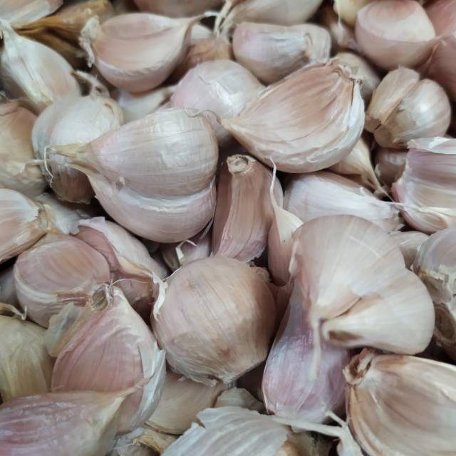 

Bawang Putih Kating 500gr