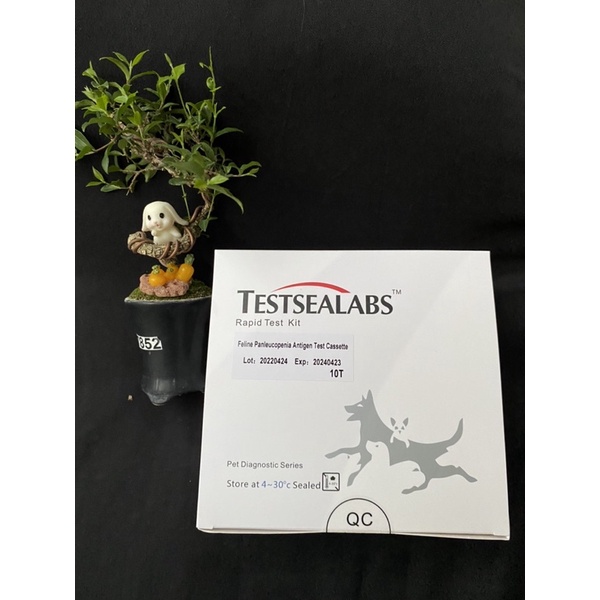 fpv panleukopenia ag test kit