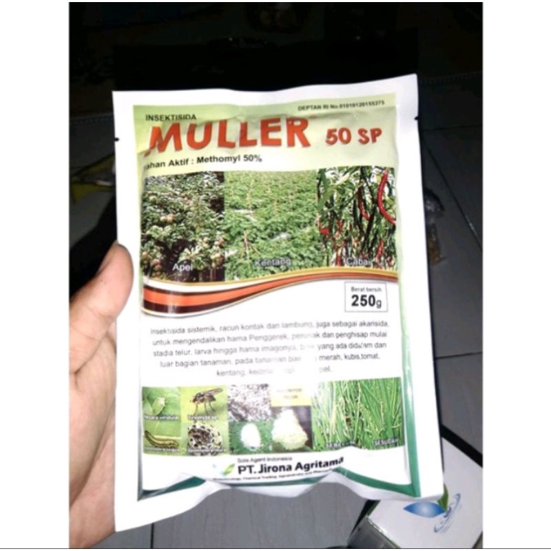 Insektisida Sistemik Racun Kontak dan Lambung Methomyl 50 SP MULLER / METOMIL 250gram