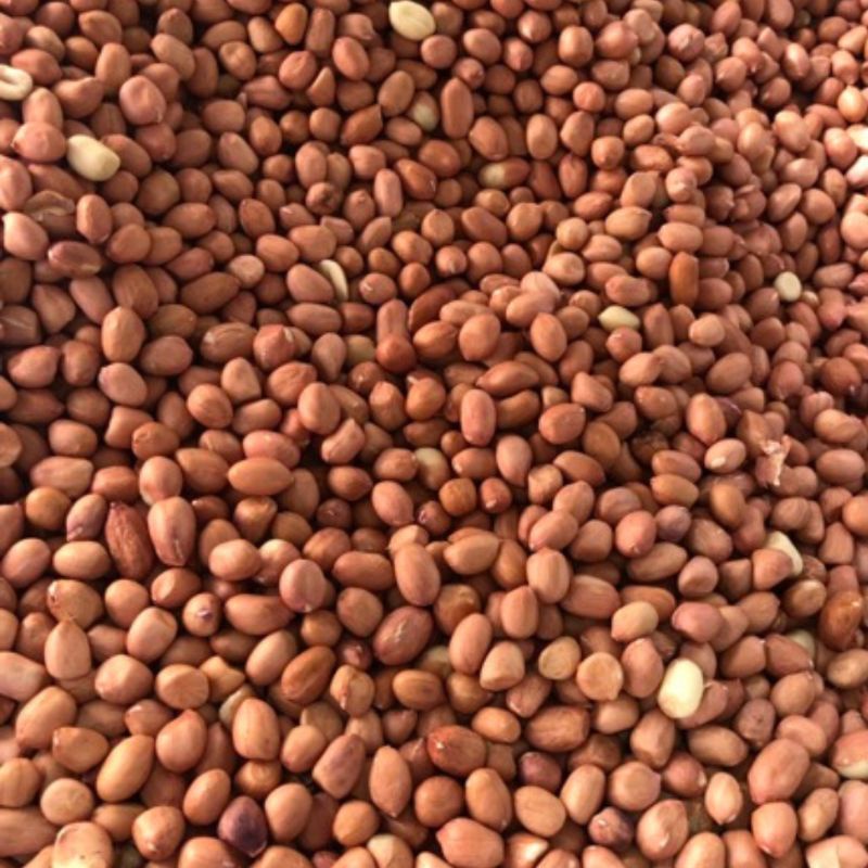 

kacang tanah kupas