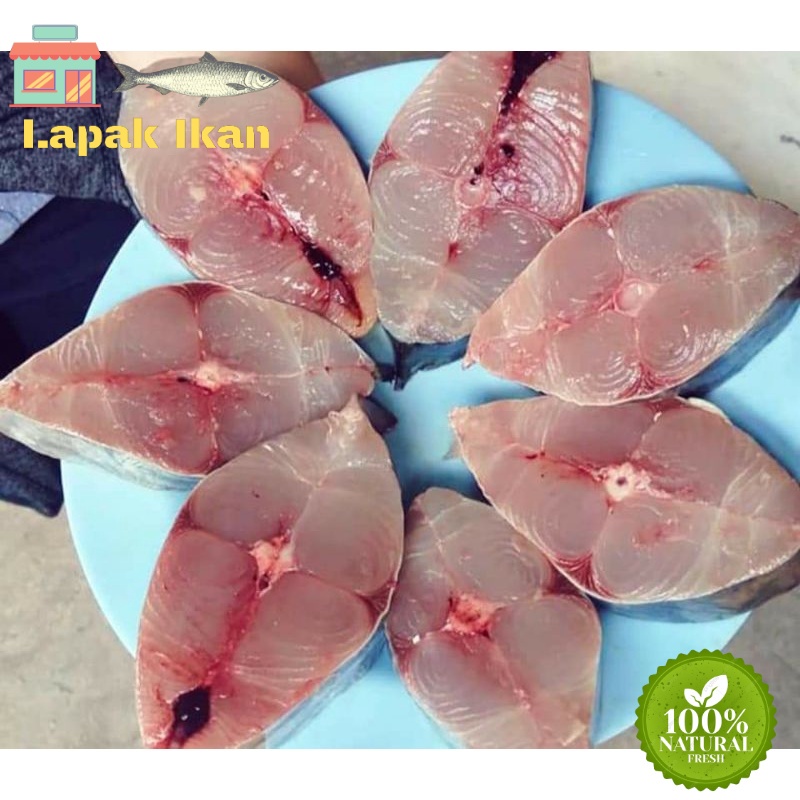 

GROSIR Daging Steak Ikan Tenggiri Fress Segar BERGARANSI 5Kilogram / 10Kilogram