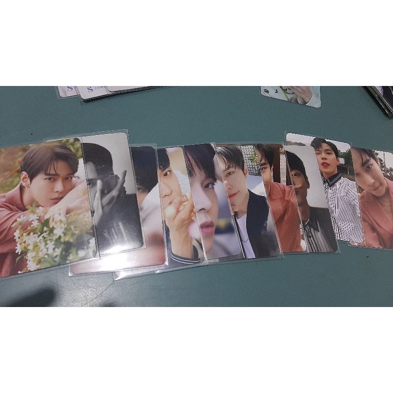 

photopack doy