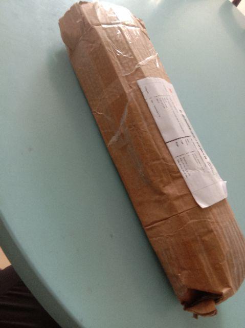 3lusin Cetakan Bunga Tulip