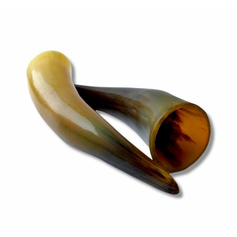 Kop Bekam Asli Tanduk Sapi