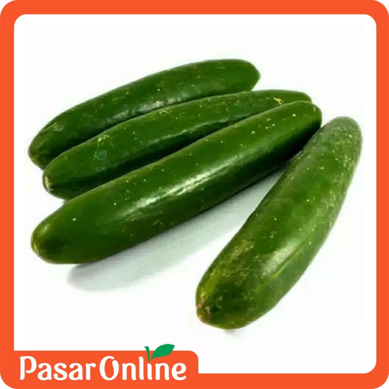 

Timun Jepang / Timun Kyuri / Timun Kiyuri / Timun Segar