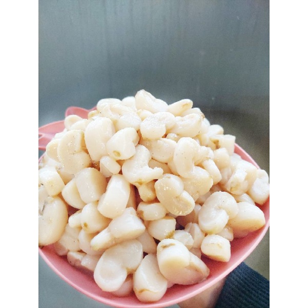 

Scallop/Kerang Kampak Kupas 1kg Termurahh !!!
