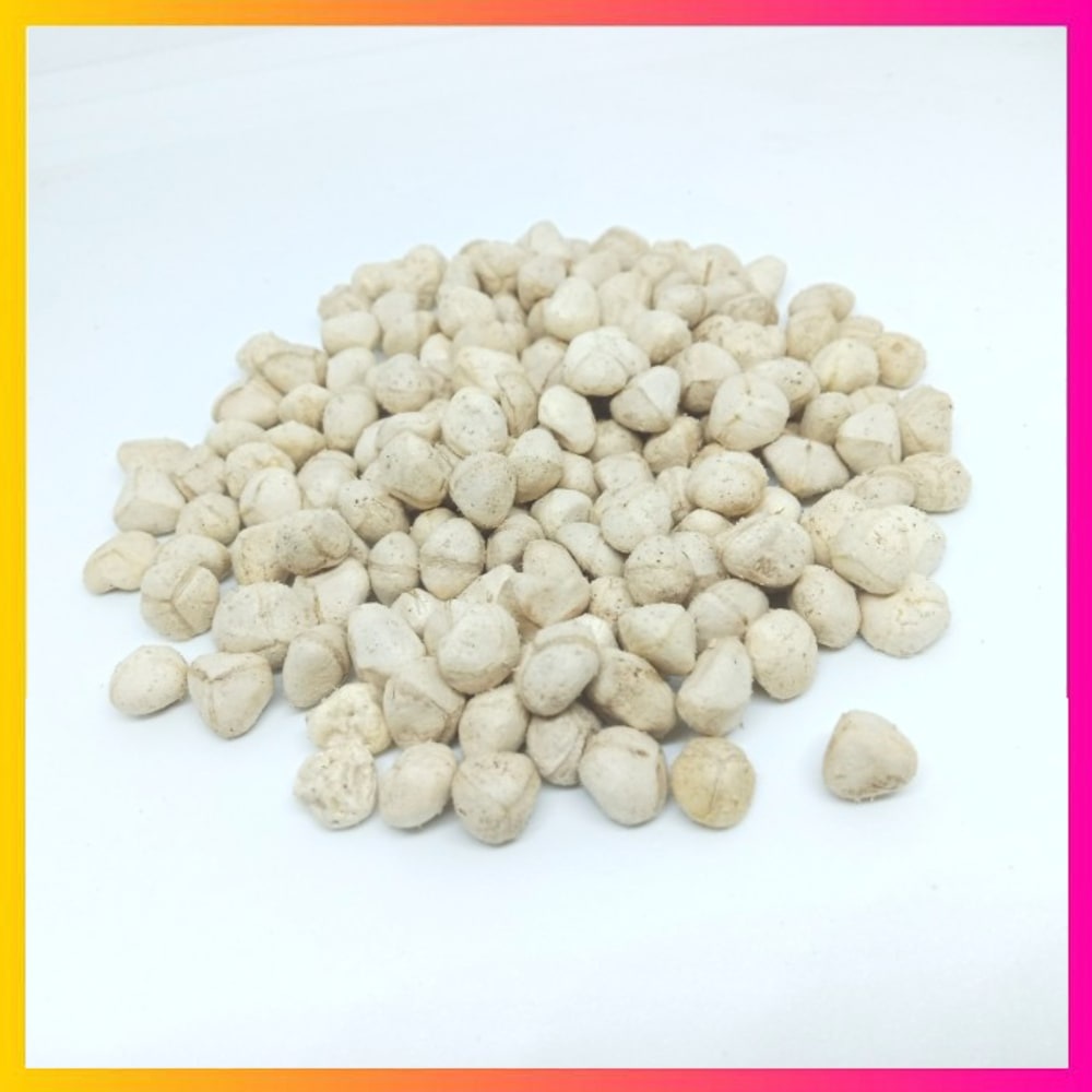 

[100g] Promo Murah Biji Kelor Kupas Atau Kernel Biji Kelor