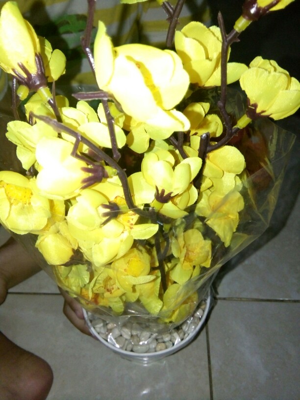 Sakura Pot Plastik D 10cm