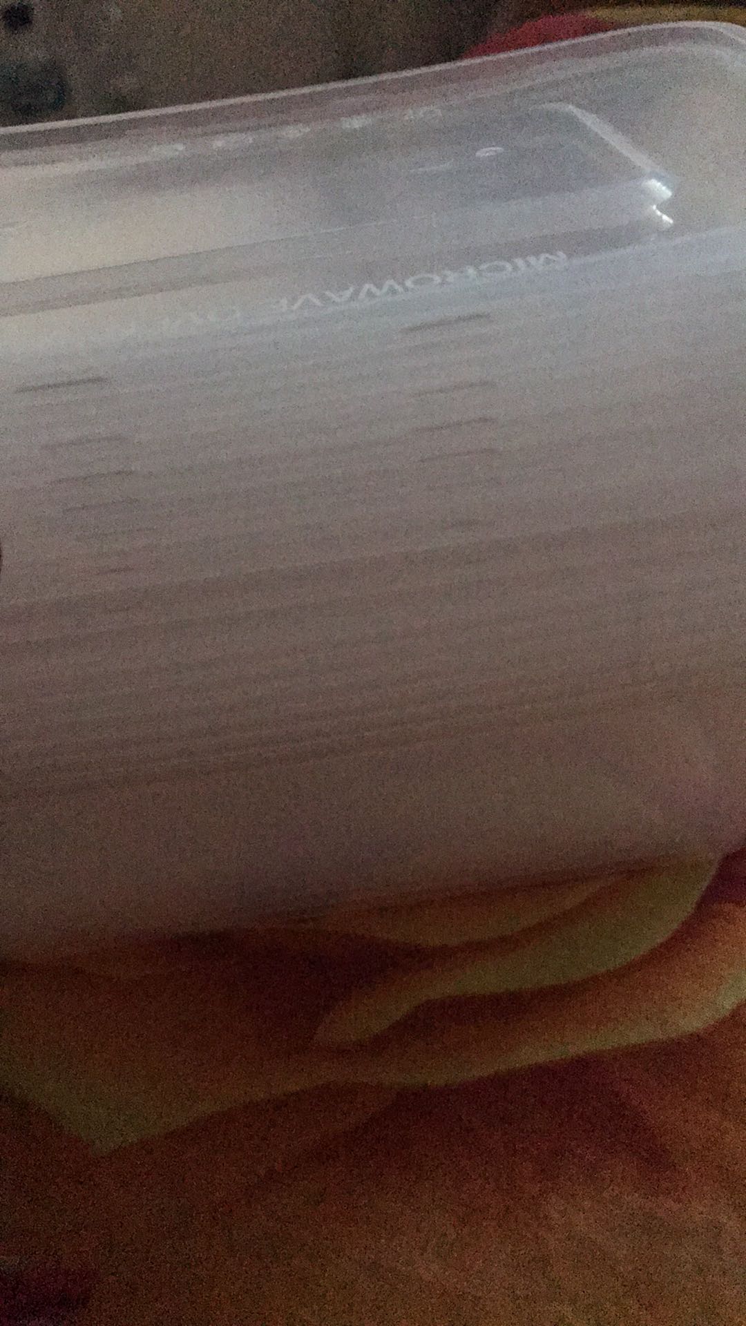 Thinwall 500ml/thinwall Persegi/kotak Makan Plastik/food Container