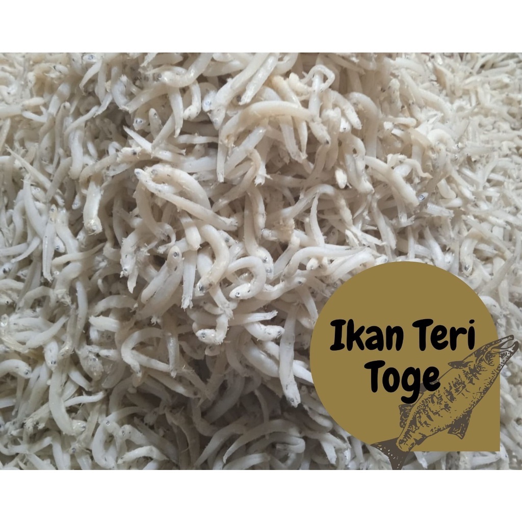 

Ikan asin teri toge medan asli original