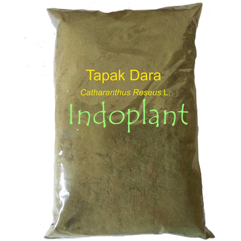 Serbuk Daun Tapak Dara 500 g Simplisia Tapakdara Vinca Bubuk Tapak Doro Catharanthus roseus