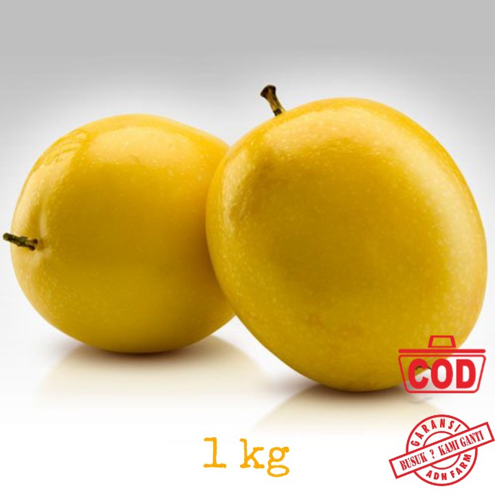 

Buah Markisa Fresh Kuning kg 8-10 pcs/kg