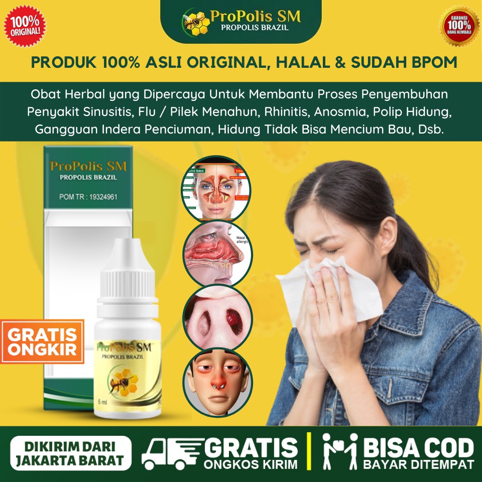 Obat Herbal Untuk Hidung Tidak Bisa Mencium Bau Hidung Tak Bisa Mencium Bau Propolis Sm Brazilia Shopee Indonesia