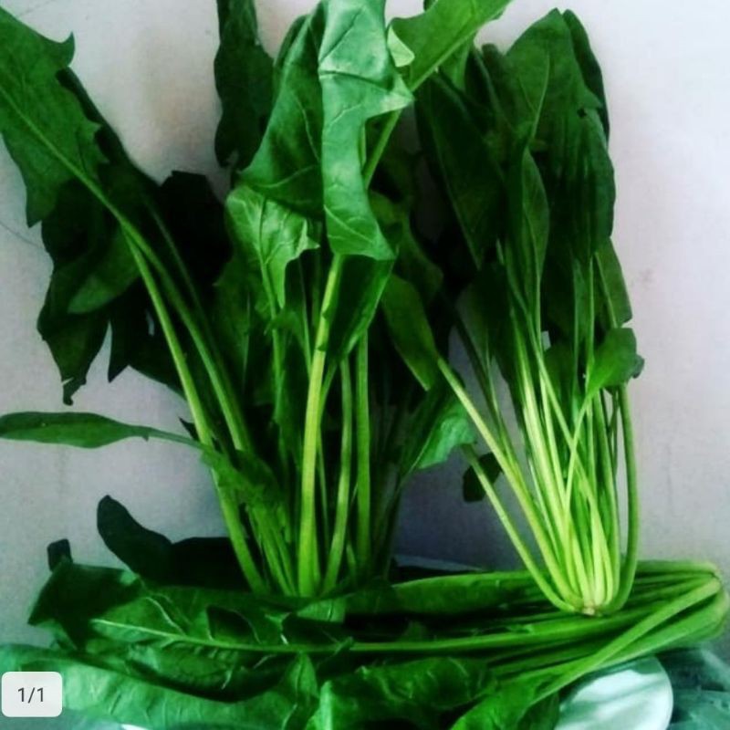 

Sayur Poiling ( Bayam Jepang ) 1 Kg Fresh.