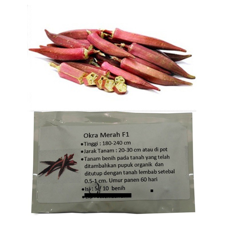 BENIH OKRA MERAH / OKRA HIJAU