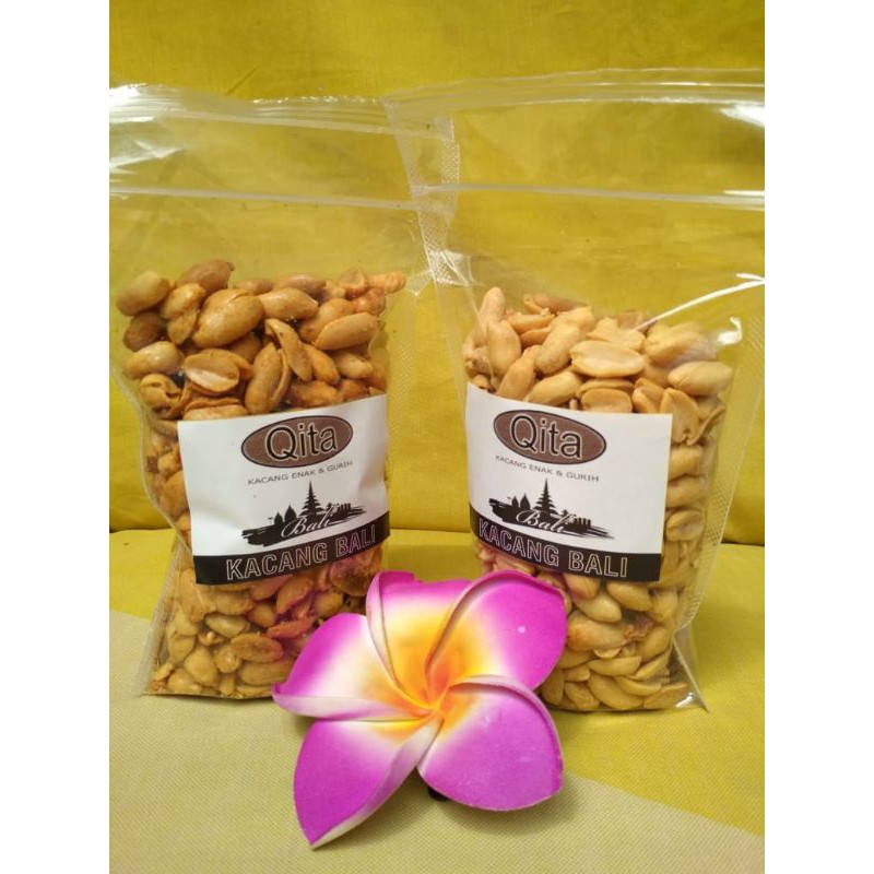

Kacang Bali Qita