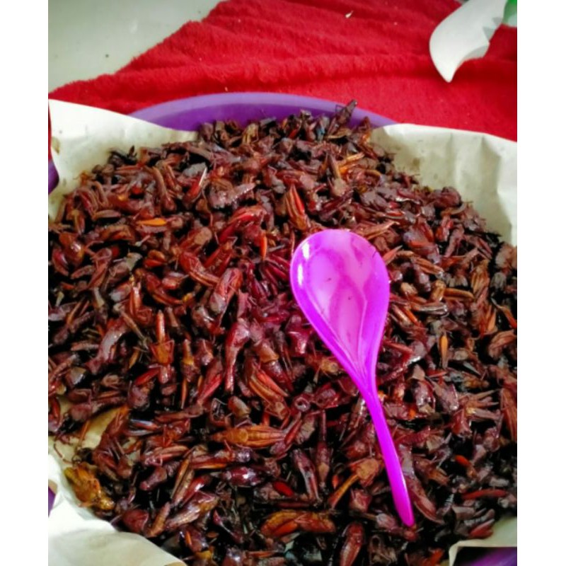 

Belalang goreng 100 gr