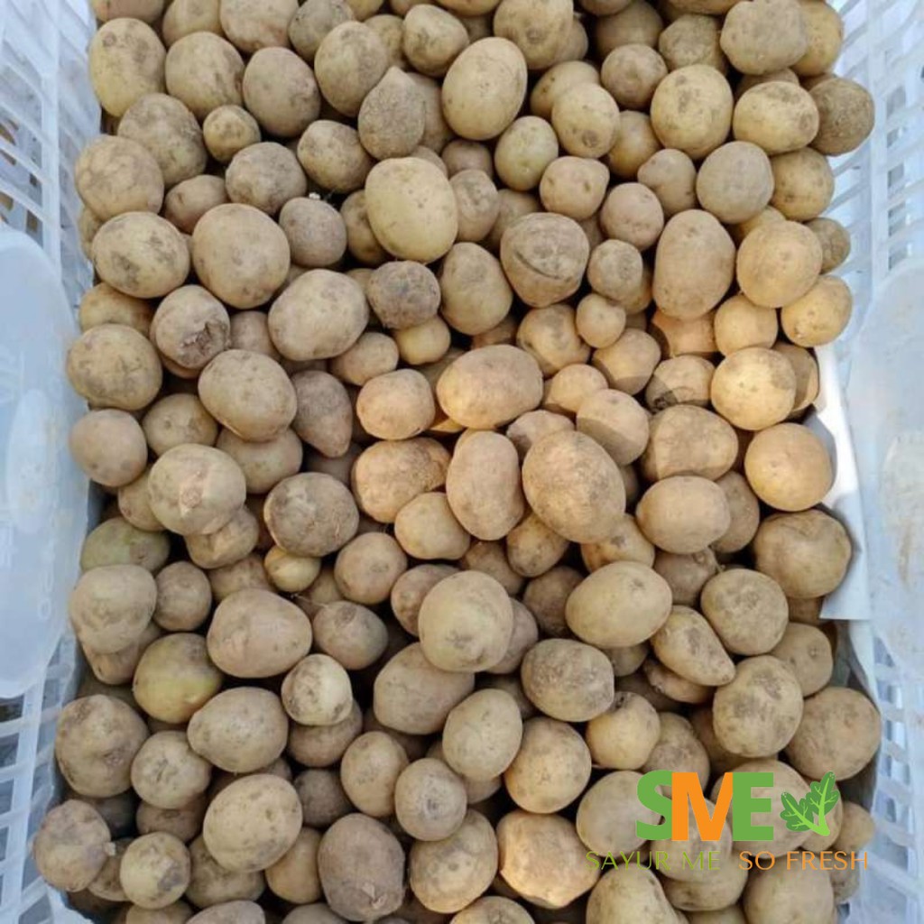 

Kentang GROSIR Pasar Induk 250 gram