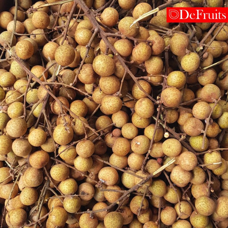 

Kelengkeng Import (500gram) - DeFruits