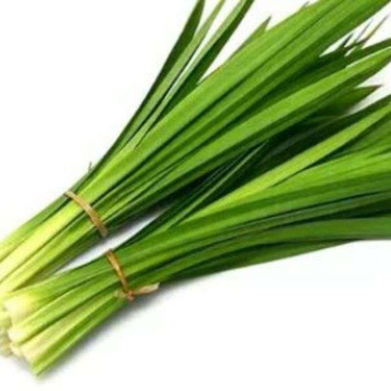 

daun pandan super