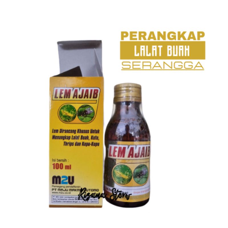 LEM AJAIB Perangkap Lalat buah dan Serangga