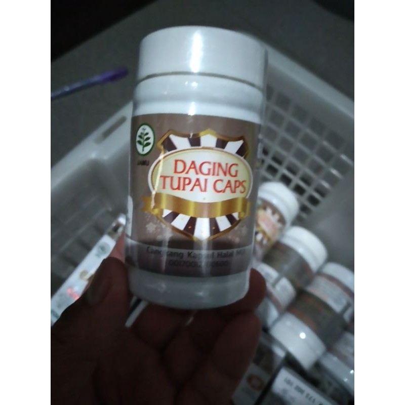 HERBAL DAGING TUPAI ANTI DIABETES