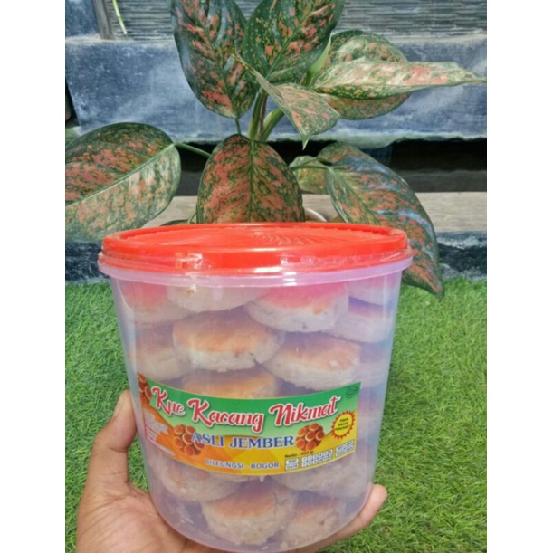 

KueKacangNikmatOriginal