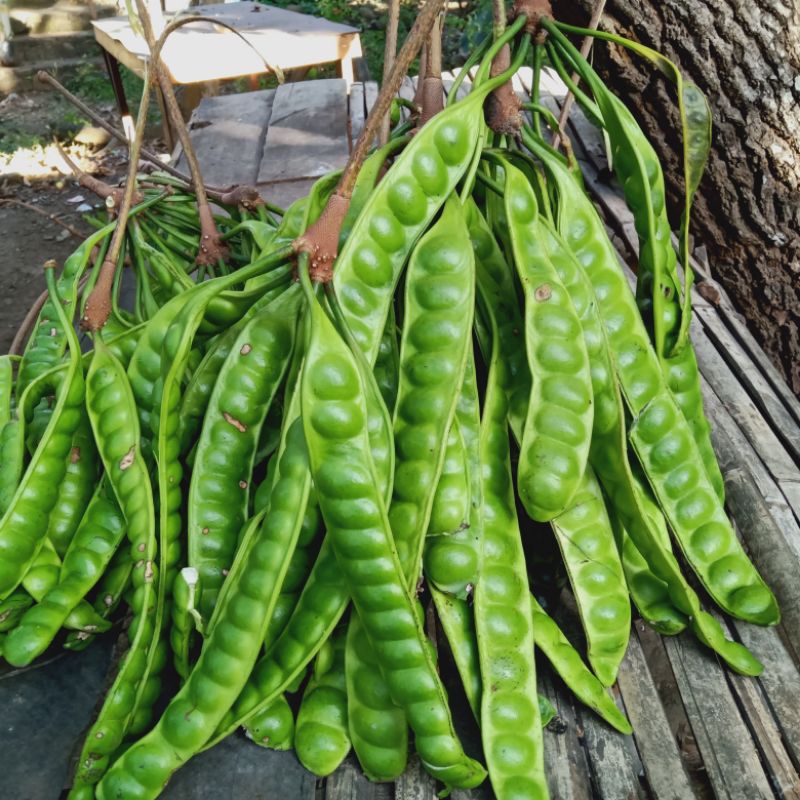 

Pete fresh, Pete segar