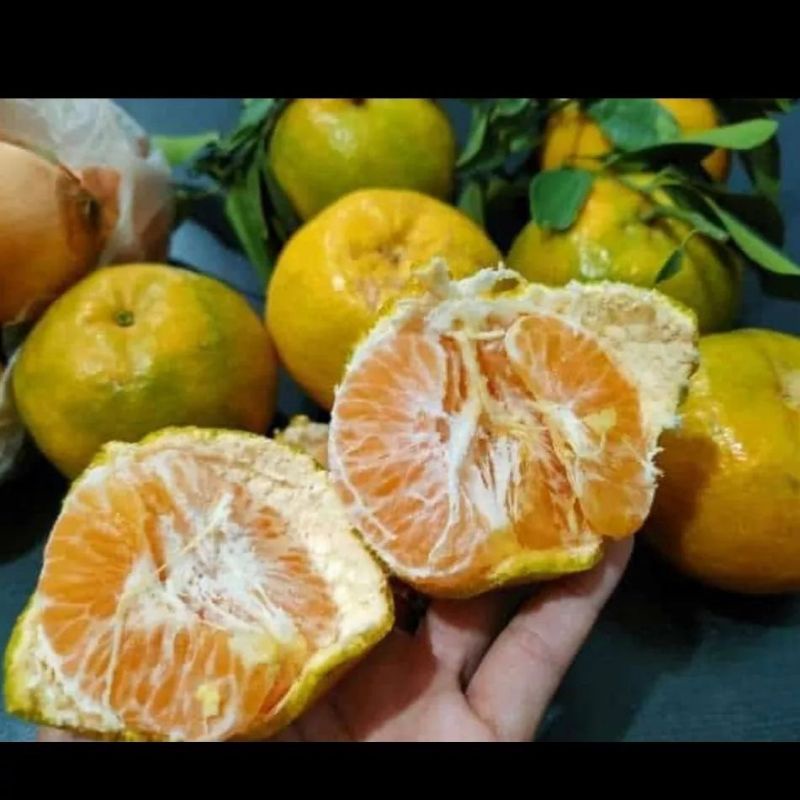 

jeruk keprok madu 1kg