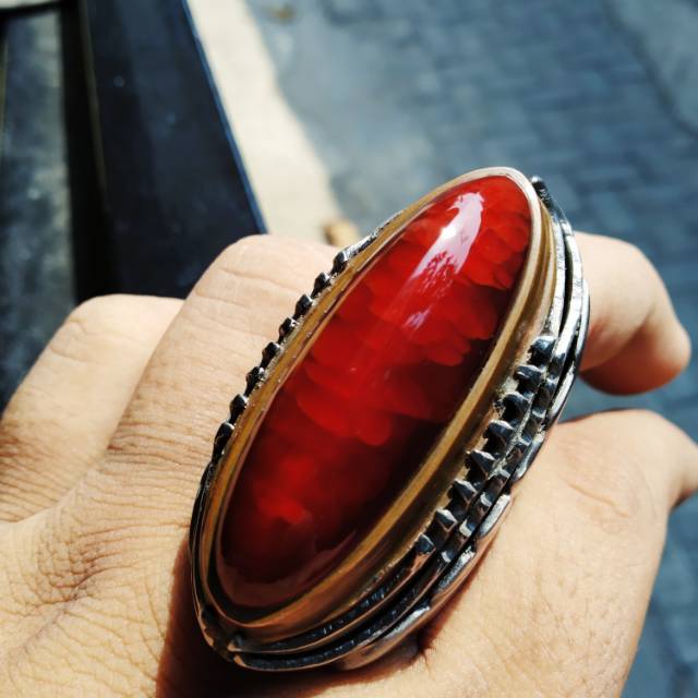 Pandan Merah Jamblang