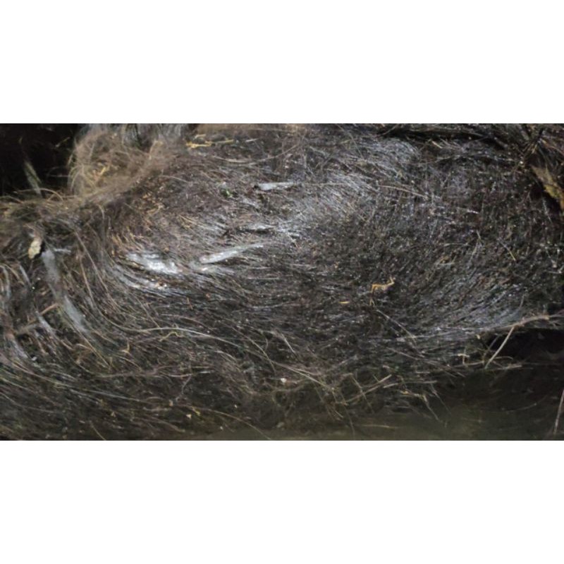 ijuk kakaban media filter