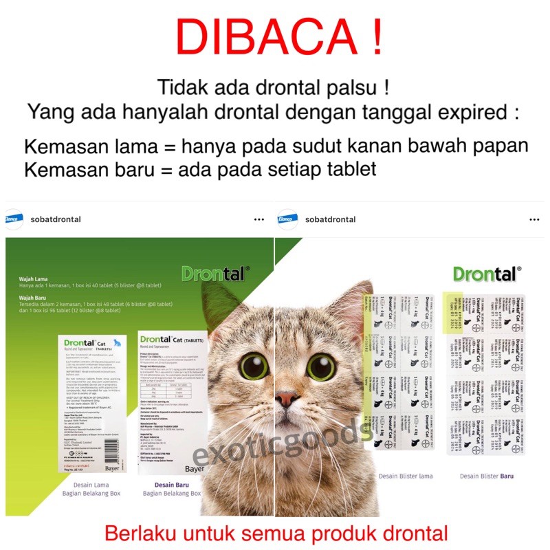 DRONTAL DOG 1 TABLET OBAT CACING ANJING OBAT ANJING DRONTAL ANJING DRONTAL PLUS CACING ANJING DRONTAL ORIGINAL DRONTAL HEWAN DRONTAL 1 BOX DRONTAL 1 PAPAN DRONTAL TASTY DRONTAL DOG TASTY DRONTAL PUPPY OBAT CACING ANAK ANJING OBAT CACING ANJING MURAH