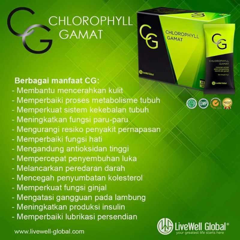 Chlorofil Gamat