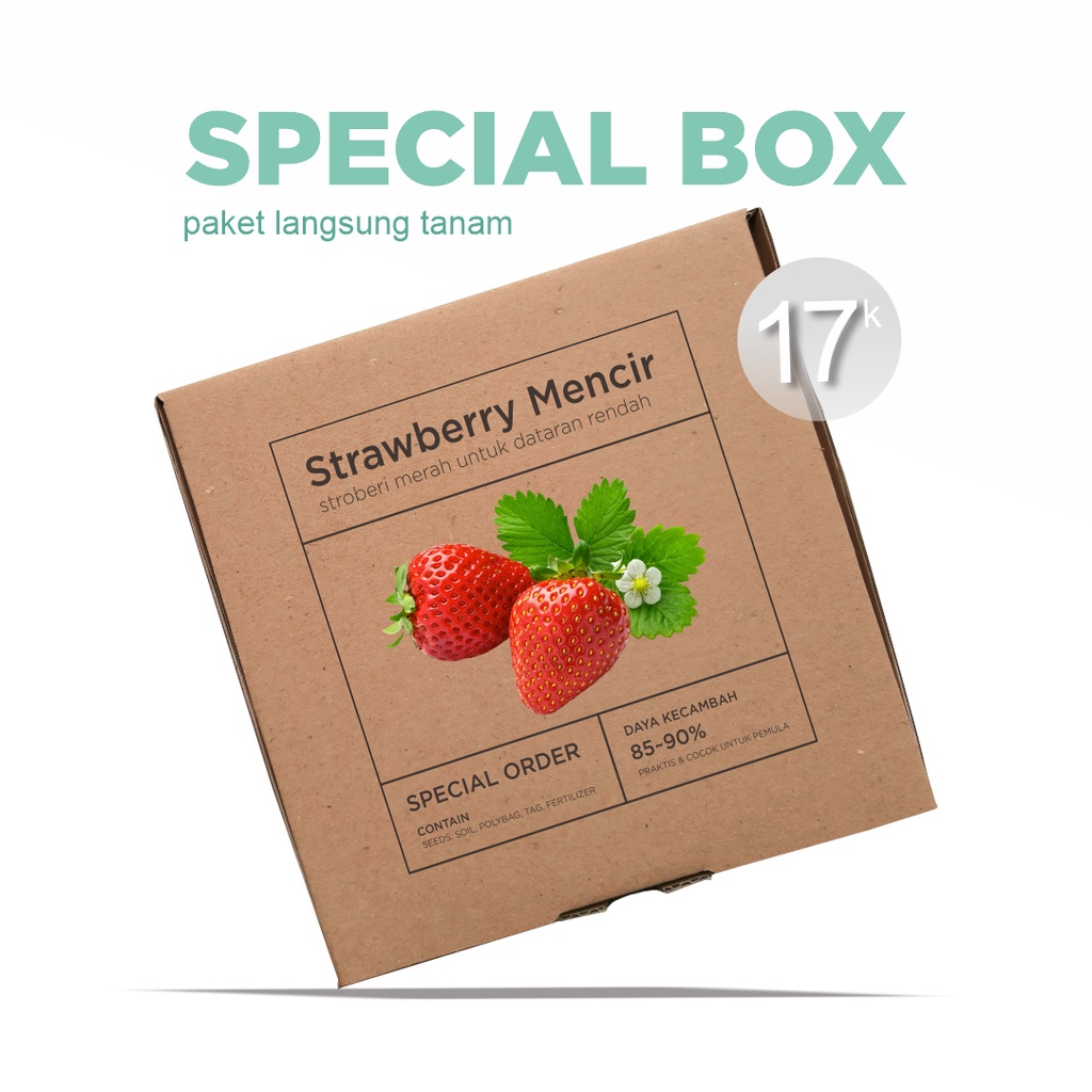 Paket Langsung Tanam - Gardening Kit - SPECIAL BOX - Benih Strawberry Merah Mencir Cocok Untuk Dataran Rendah Seeds