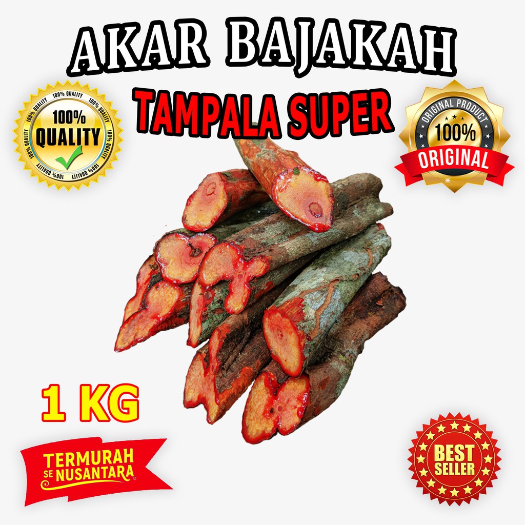 

Akar Bajakah Tampala Super Getah Merah Asli Kalimantan 1kg Termurah