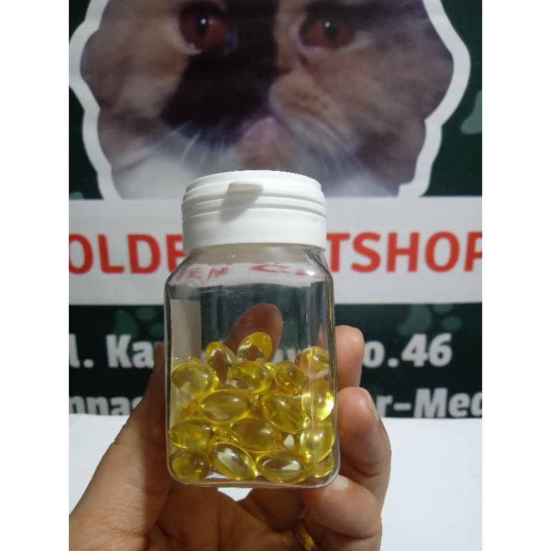 MINYAK IKAN VITAMIN  KUCING