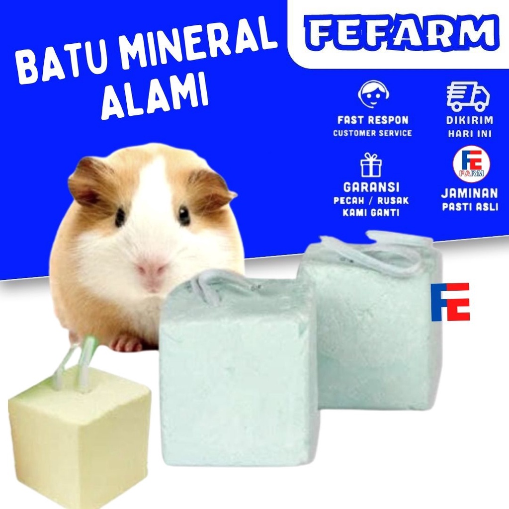 Gnawing Stone Hamster Batu Mineral Gigitan Hamster Sugar Glider Kelinci Chincila FEFARM