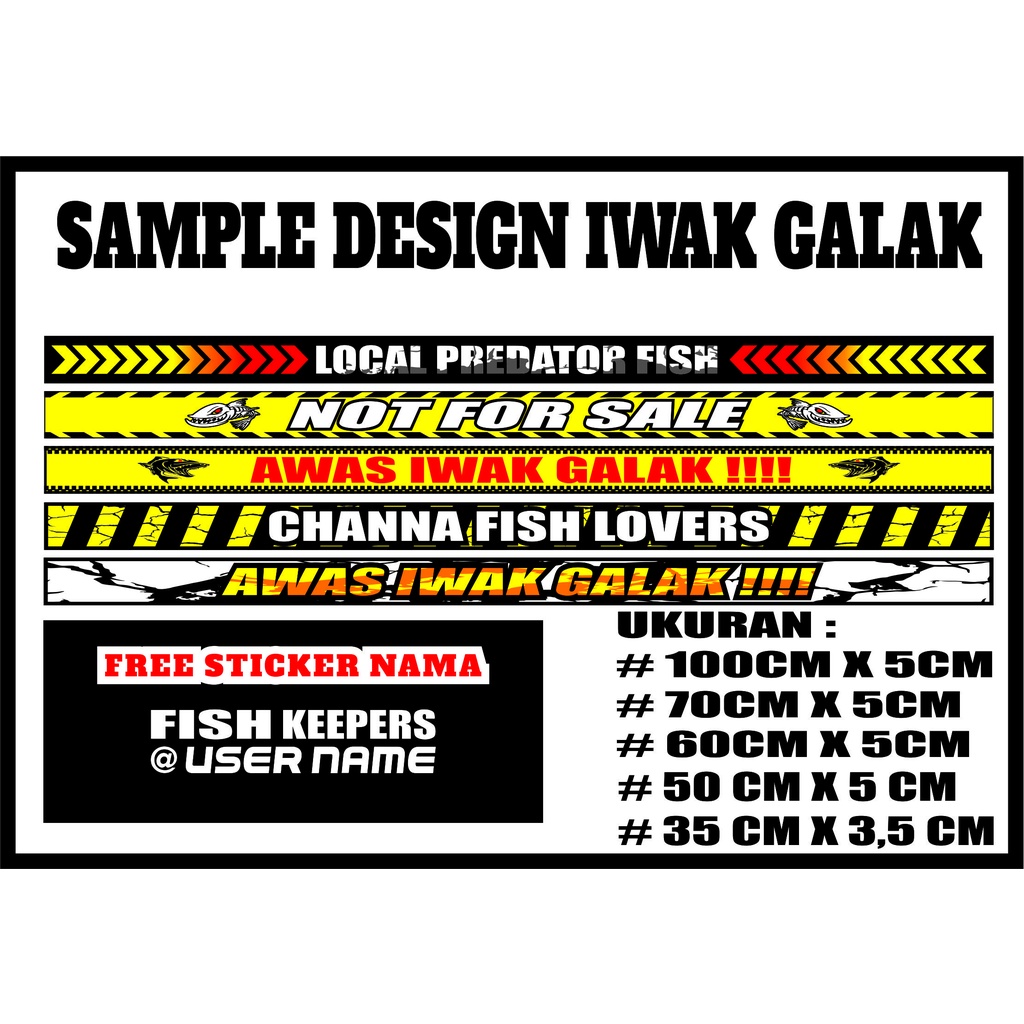 Stiker Aquarium Predator Ikan Channa Arwana Belakang Hitam  Iwak Galak Premium