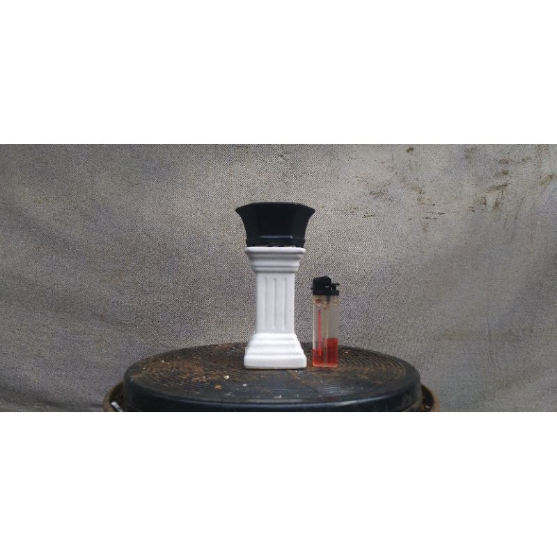 hong/pilar bonsai mame